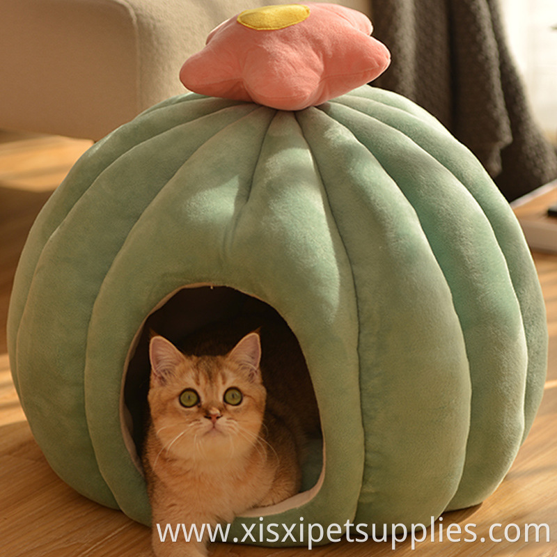 Pet Cat House Jpg Pet Cat House Jpg
